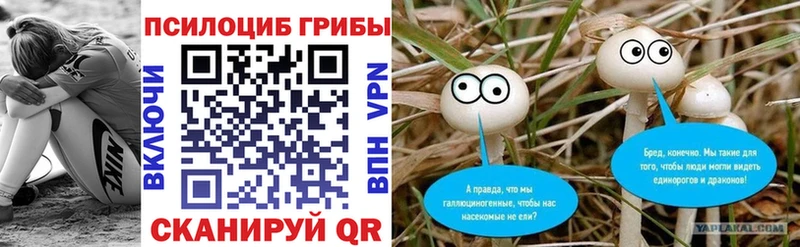 хочу   Шагонар  omg зеркало  Галлюциногенные грибы Psilocybine cubensis 